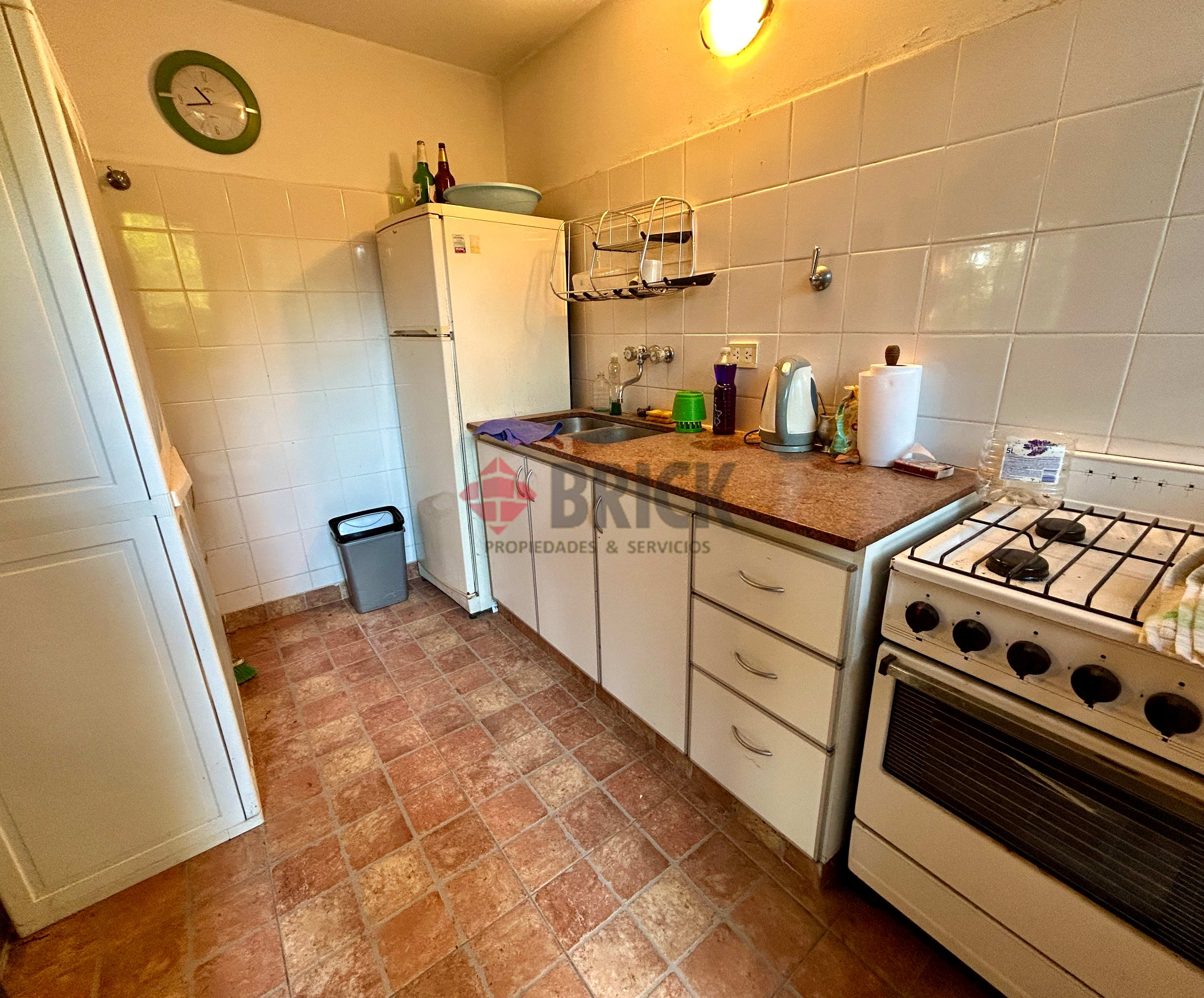 LA GOLONDRINA Y LA PATRIA 6