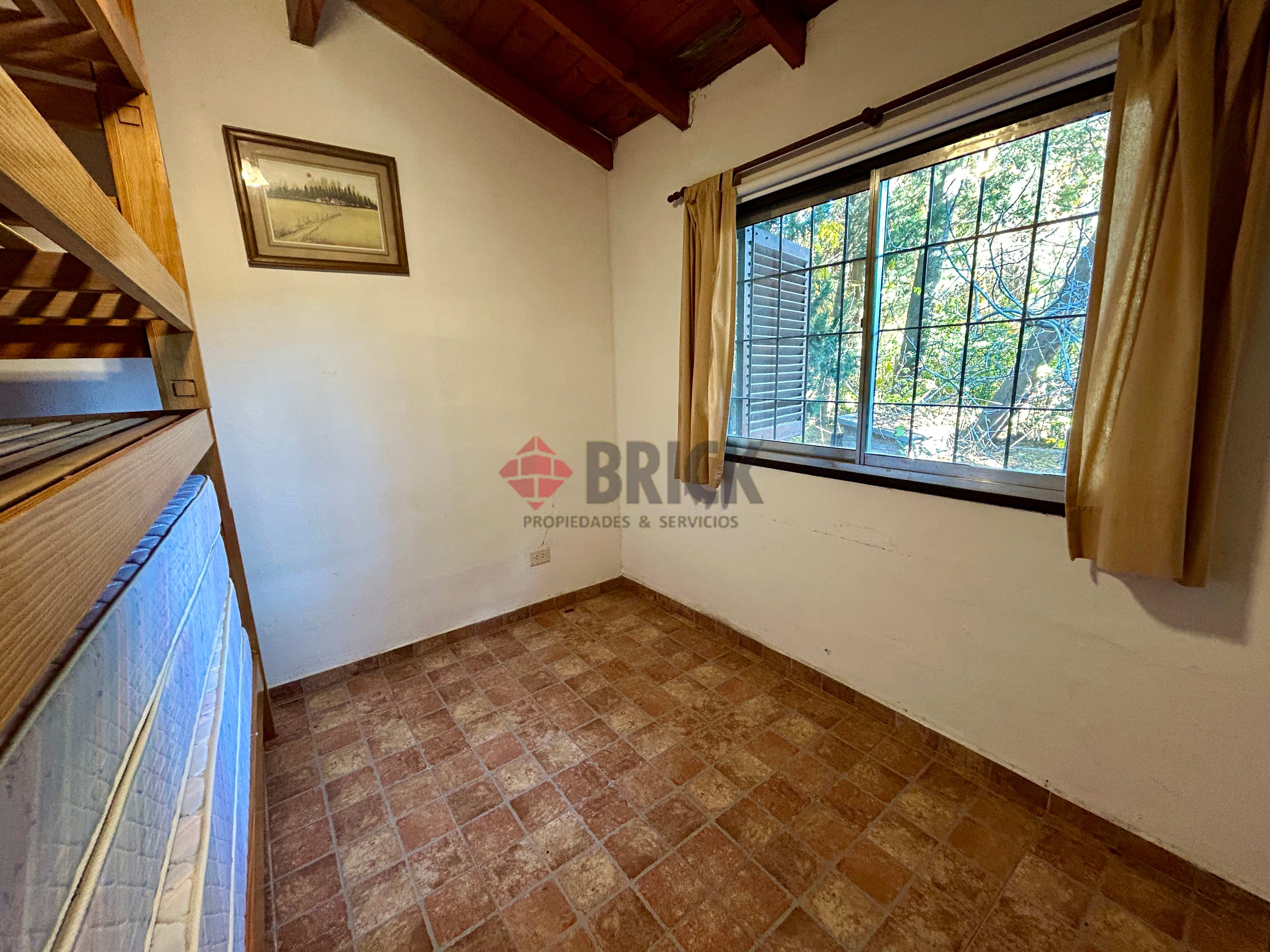 LA GOLONDRINA Y LA PATRIA 8