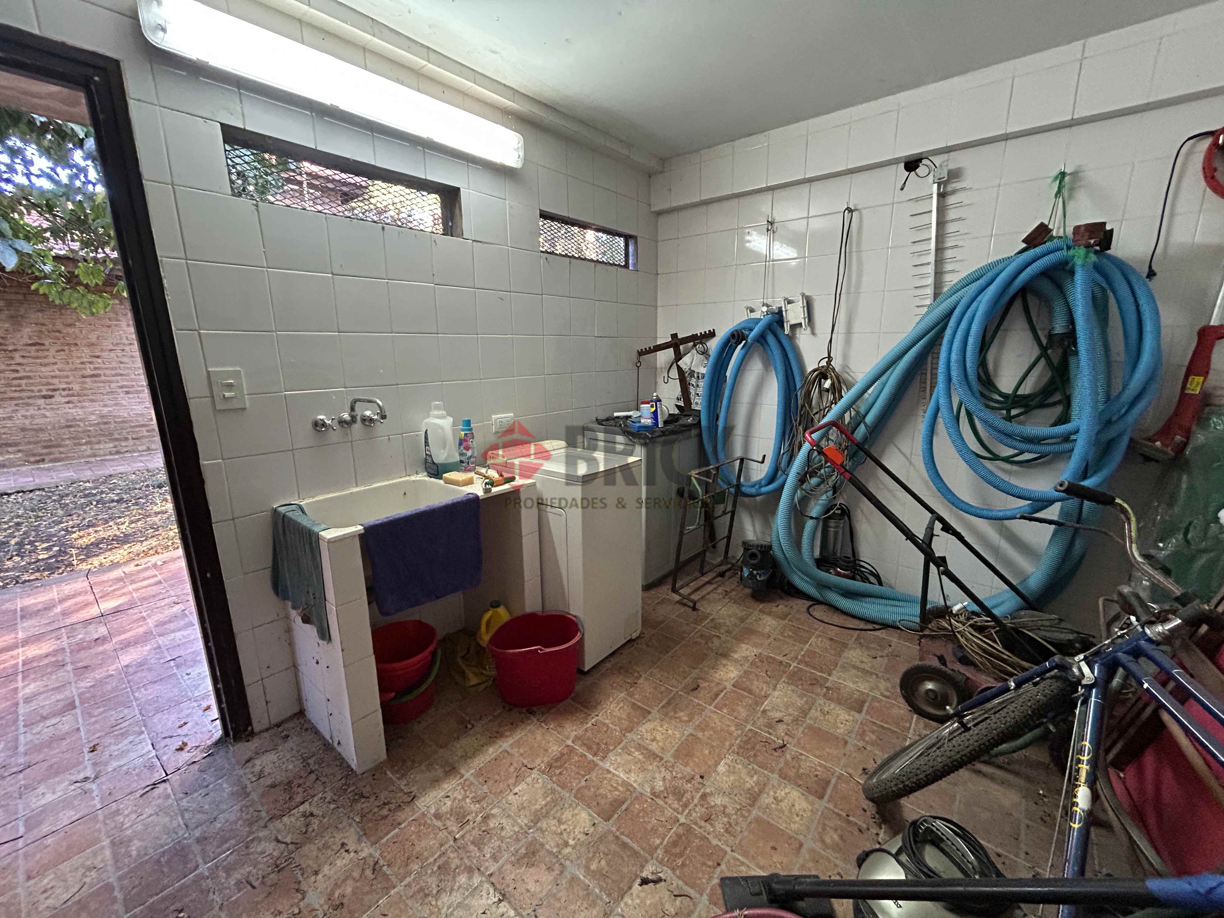 LA GOLONDRINA Y LA PATRIA 13