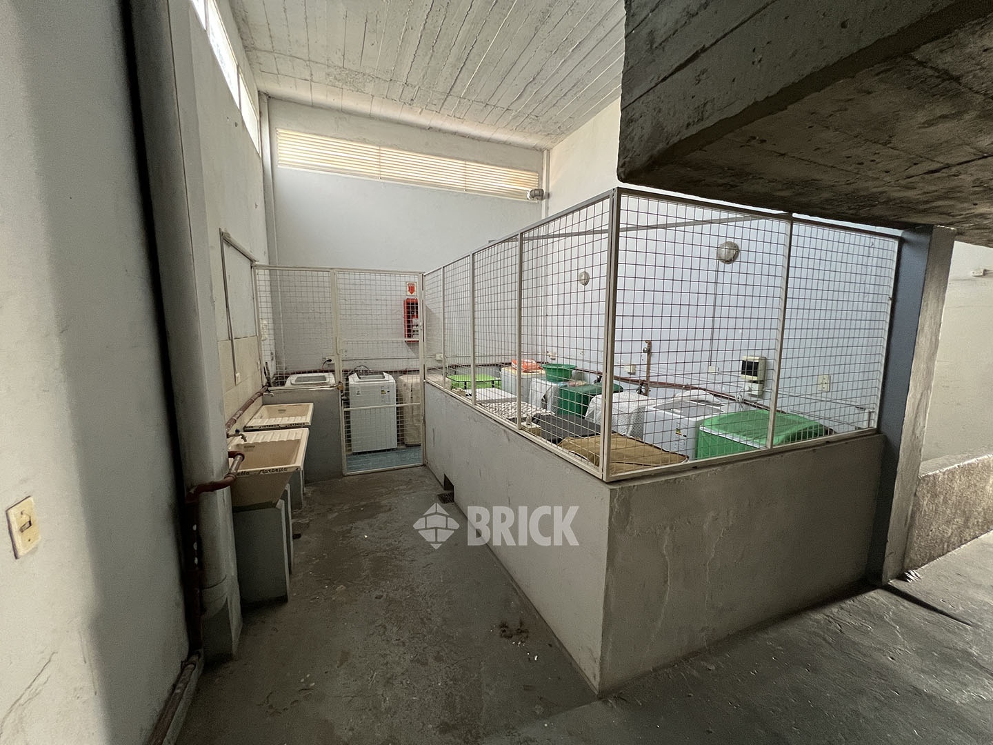 CALVO, CARLOS al 2100 Piso 14 13