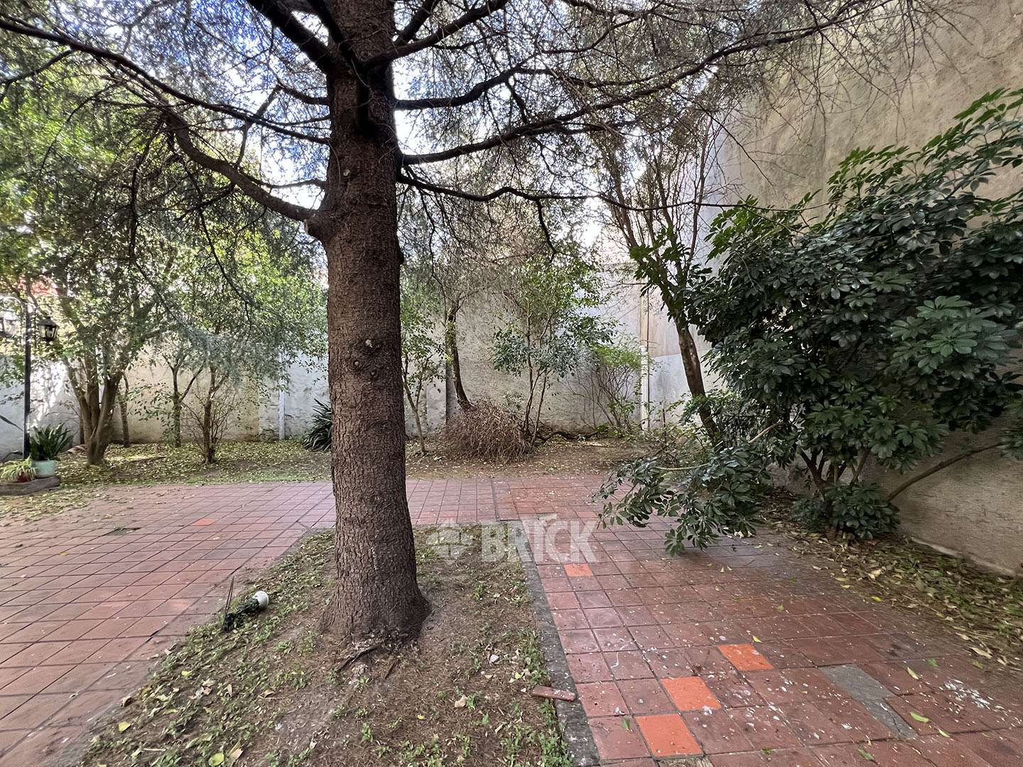 CALVO, CARLOS al 2100 Piso 14 14