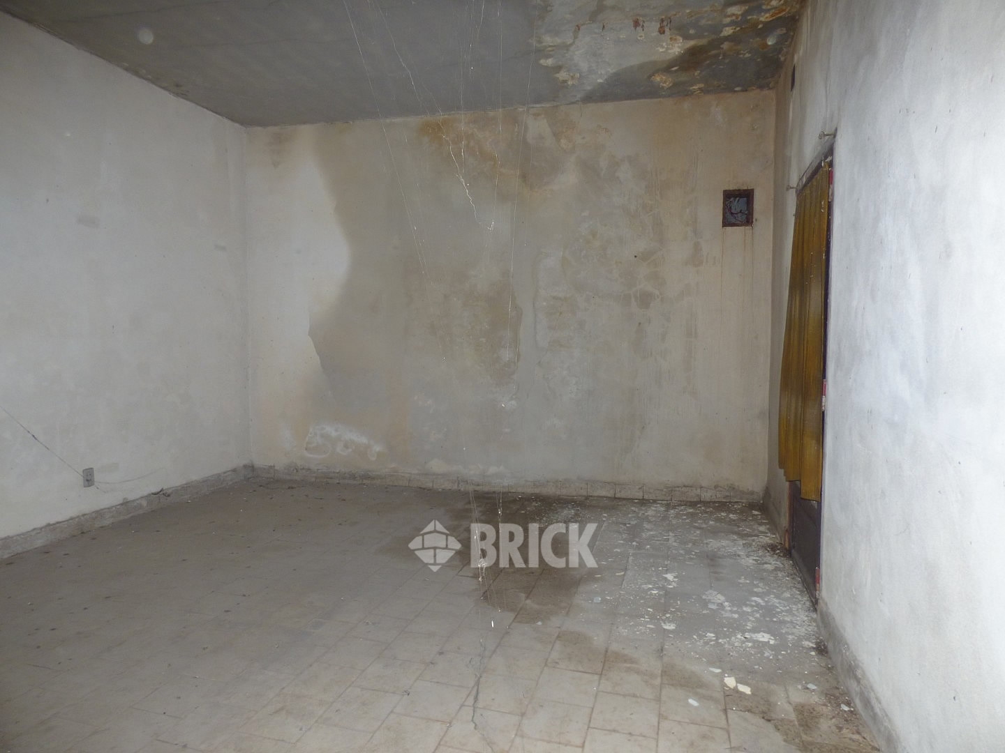 HUMBERTO 1° al 3000 15