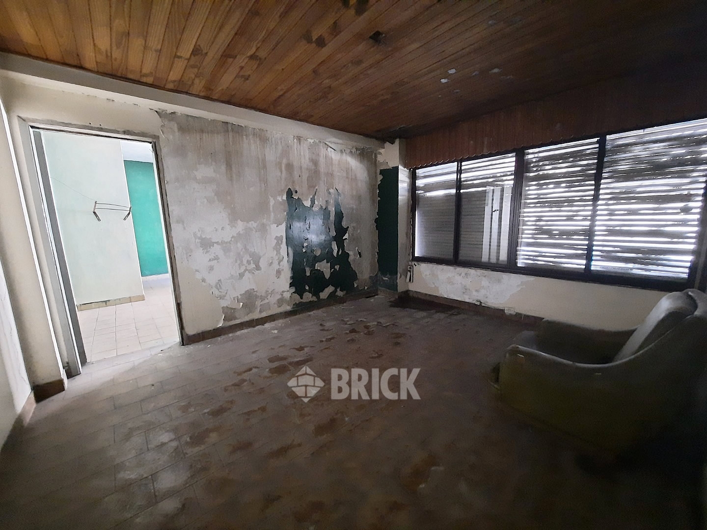 HUMBERTO 1° al 3000 18