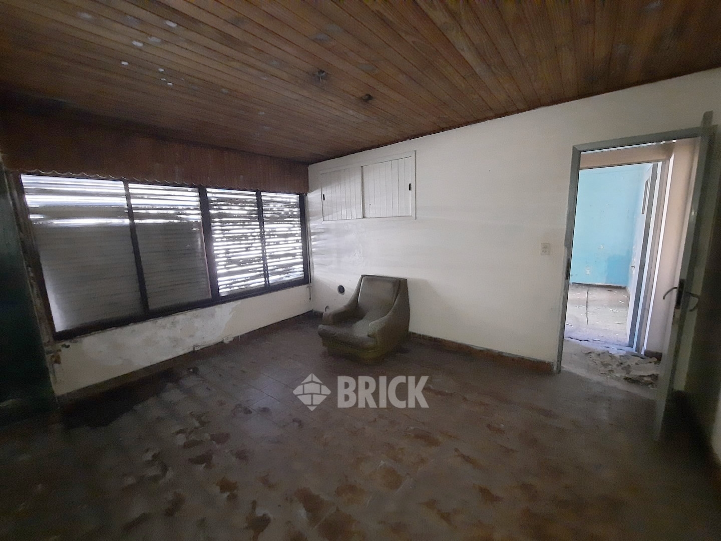 HUMBERTO 1° al 3000 19