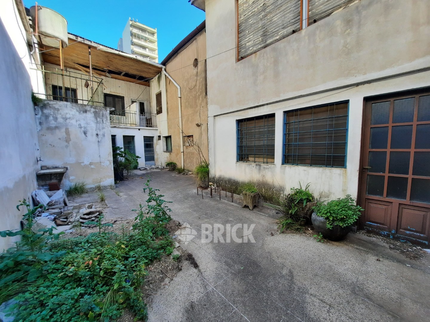 HUMBERTO 1° al 3000 26