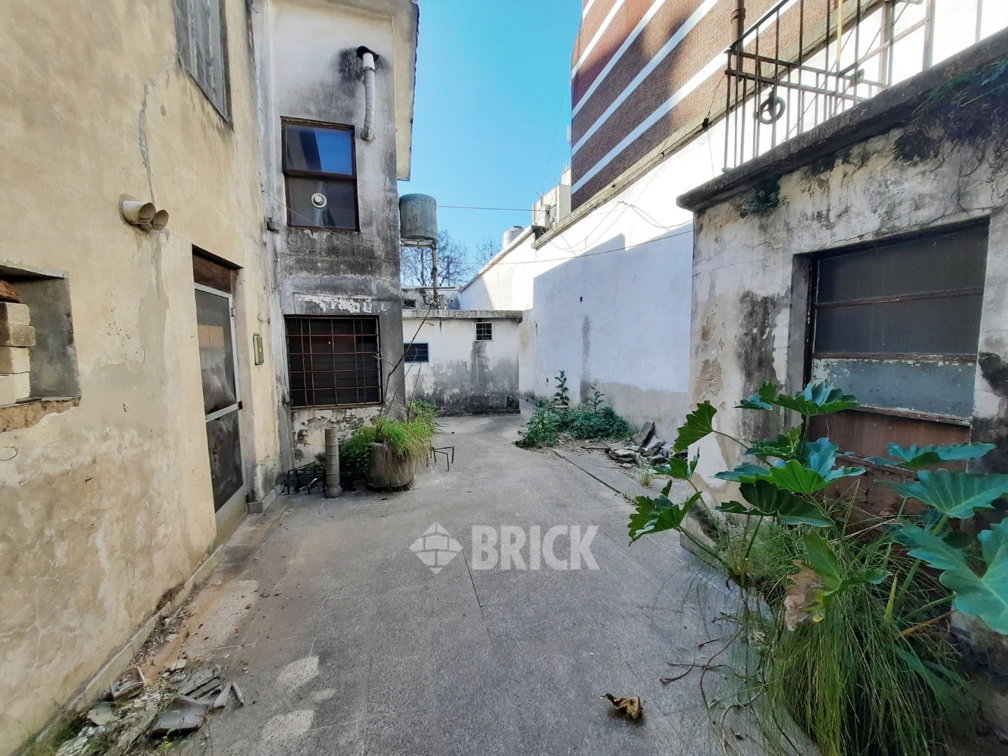 HUMBERTO 1° al 3000 27