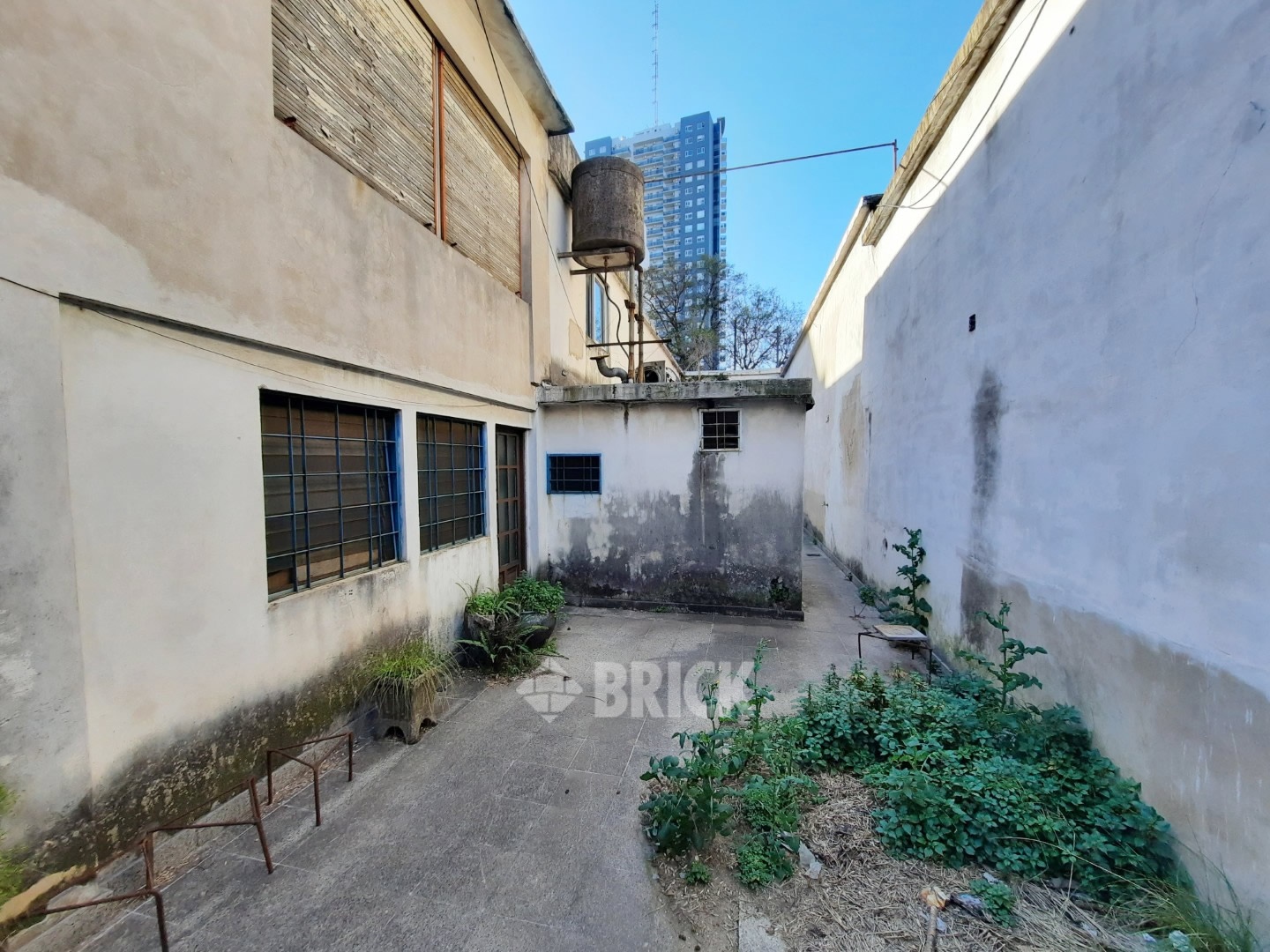 HUMBERTO 1° al 3000 29