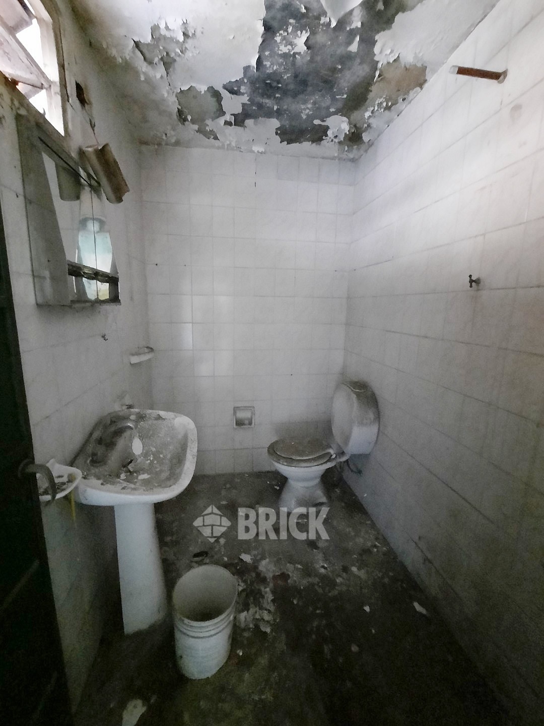 HUMBERTO 1° al 3000 38