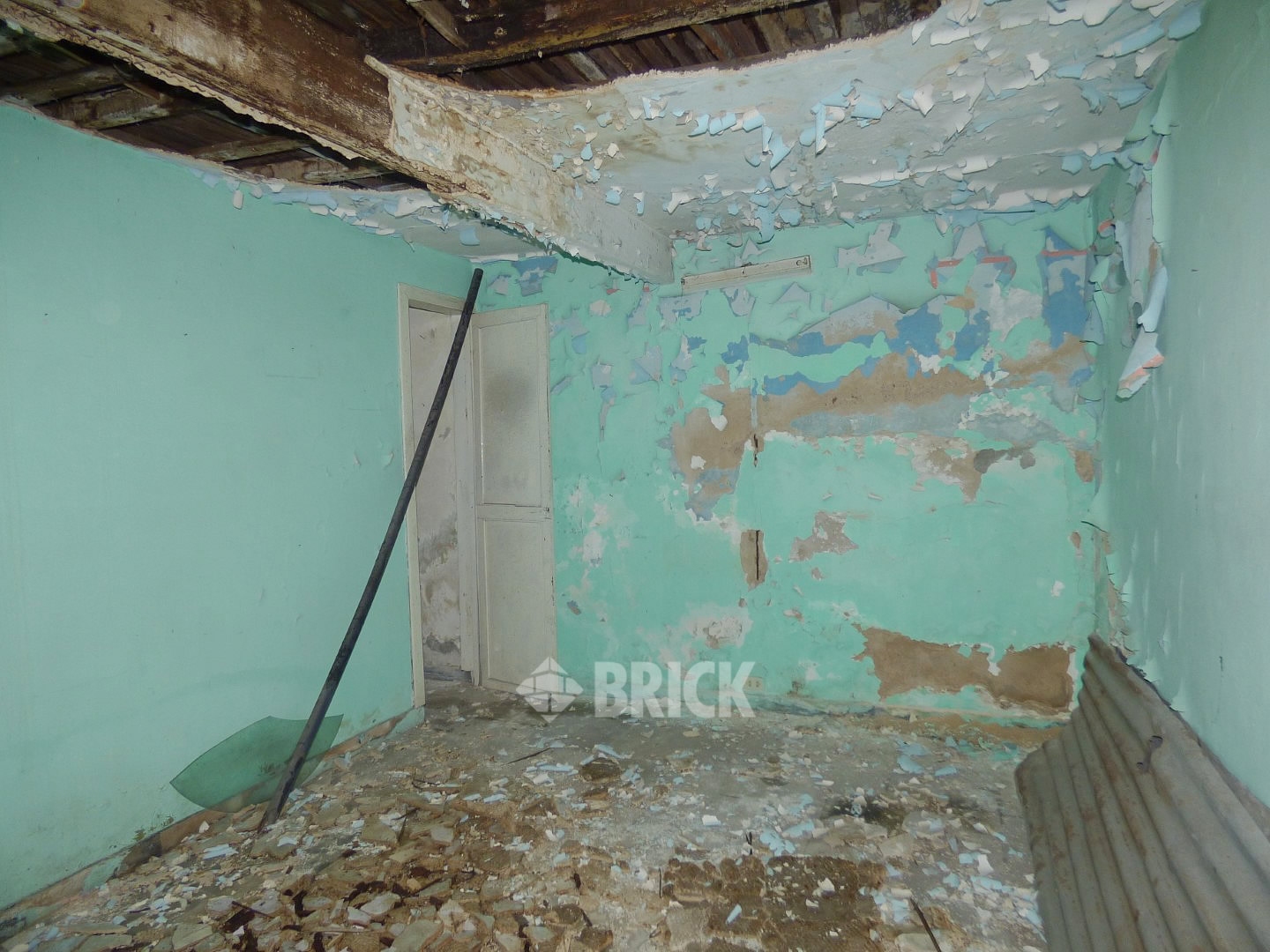 HUMBERTO 1° al 3000 40