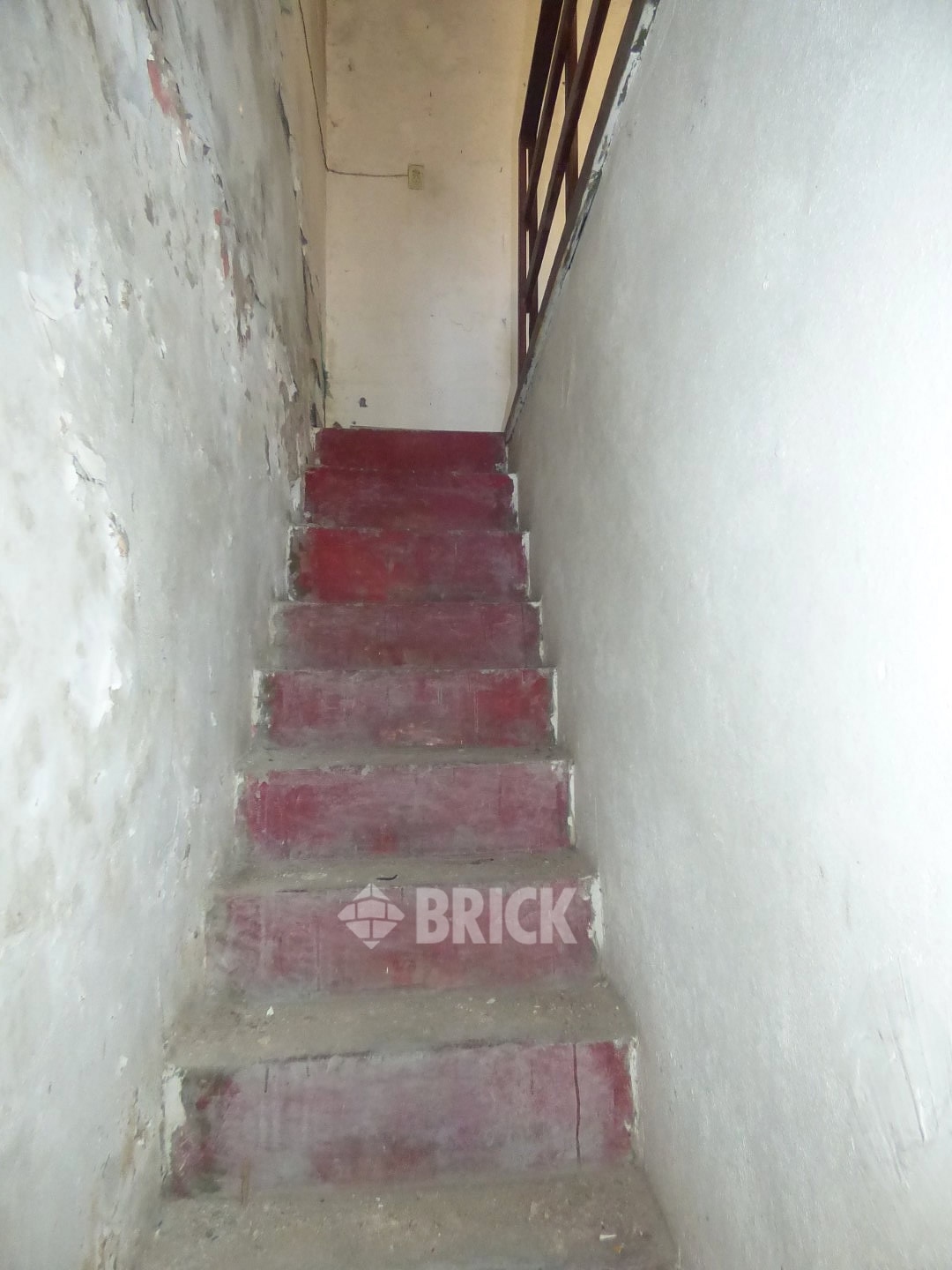 HUMBERTO 1° al 3000 41