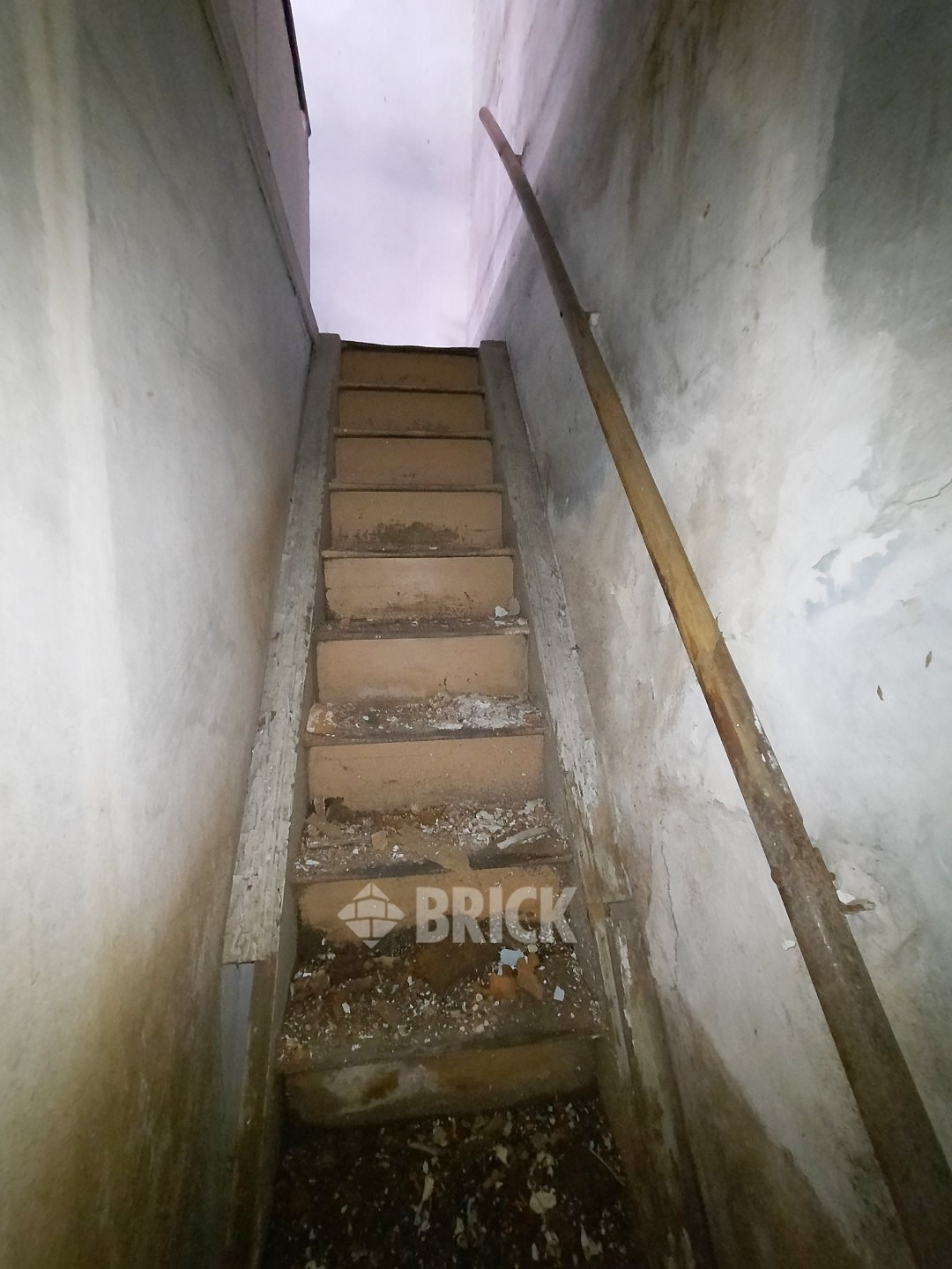 HUMBERTO 1° al 3000 49