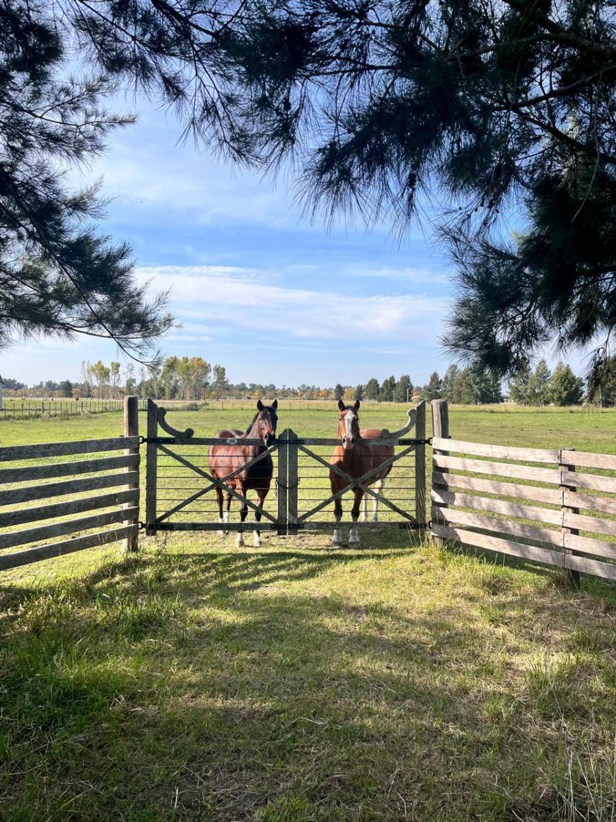 DEL VALLE, ARISTOBULO al 1300 Lote N° 9 17