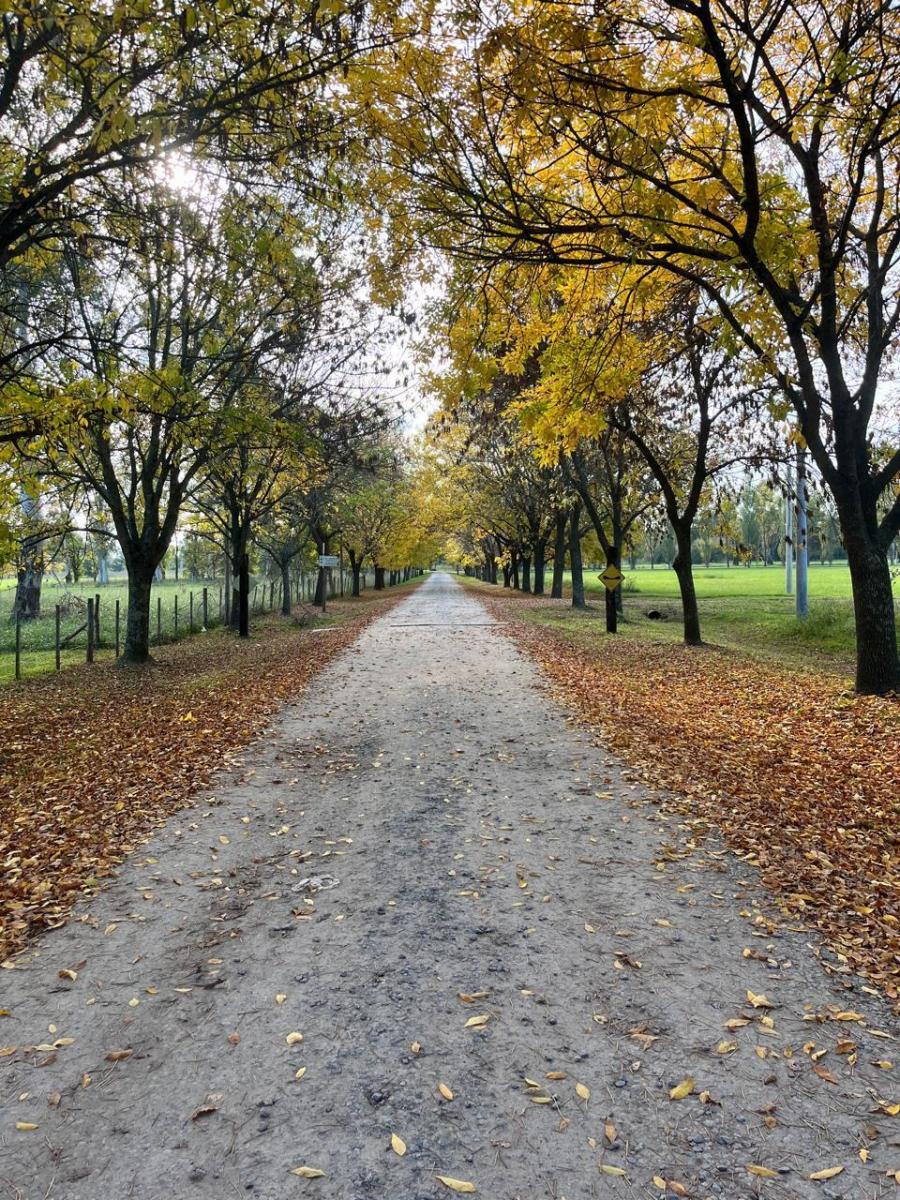 DEL VALLE, ARISTOBULO al 1300 Lote N° 9 18