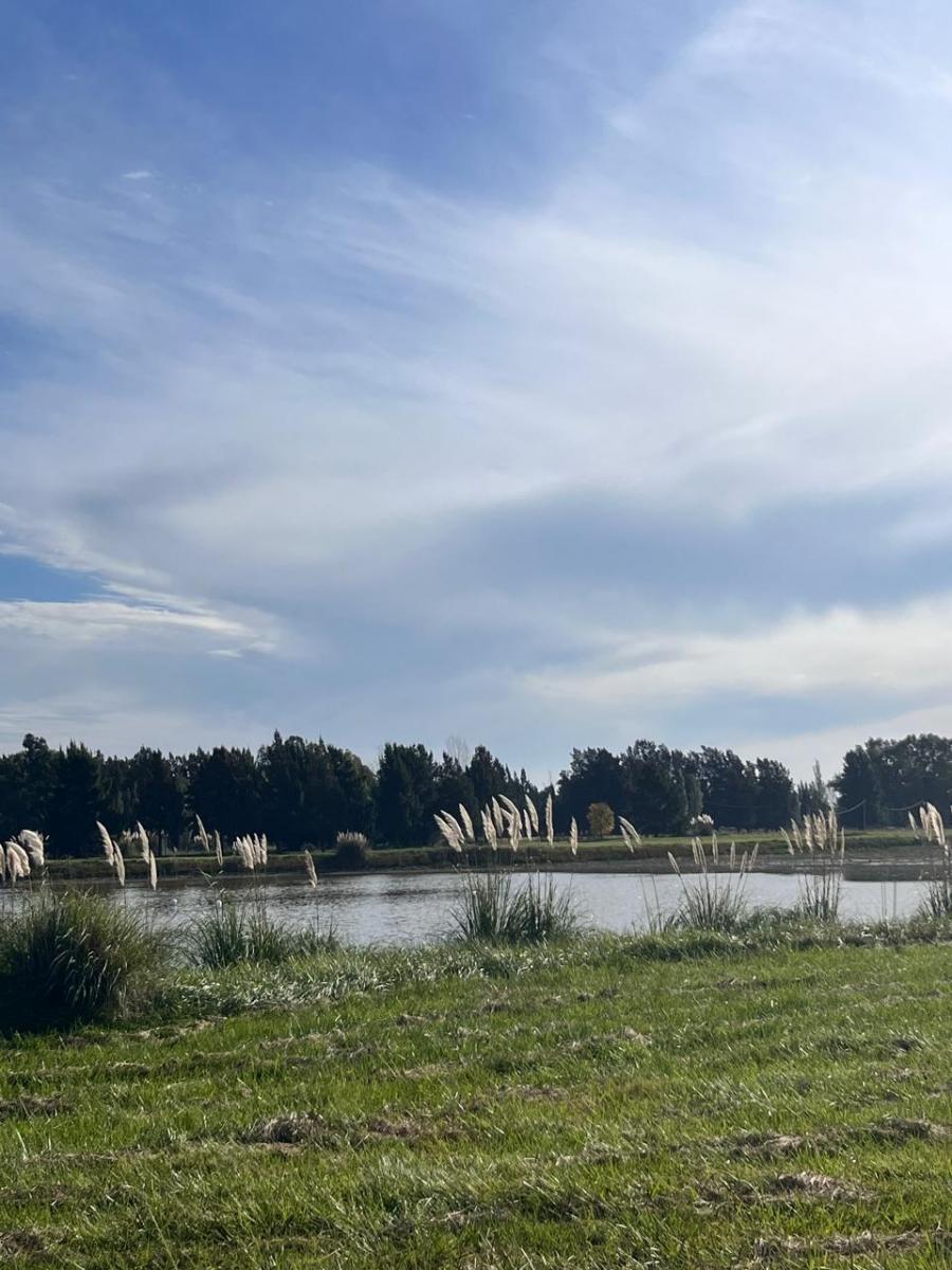 DEL VALLE, ARISTOBULO al 1300 Lote N° 9 20