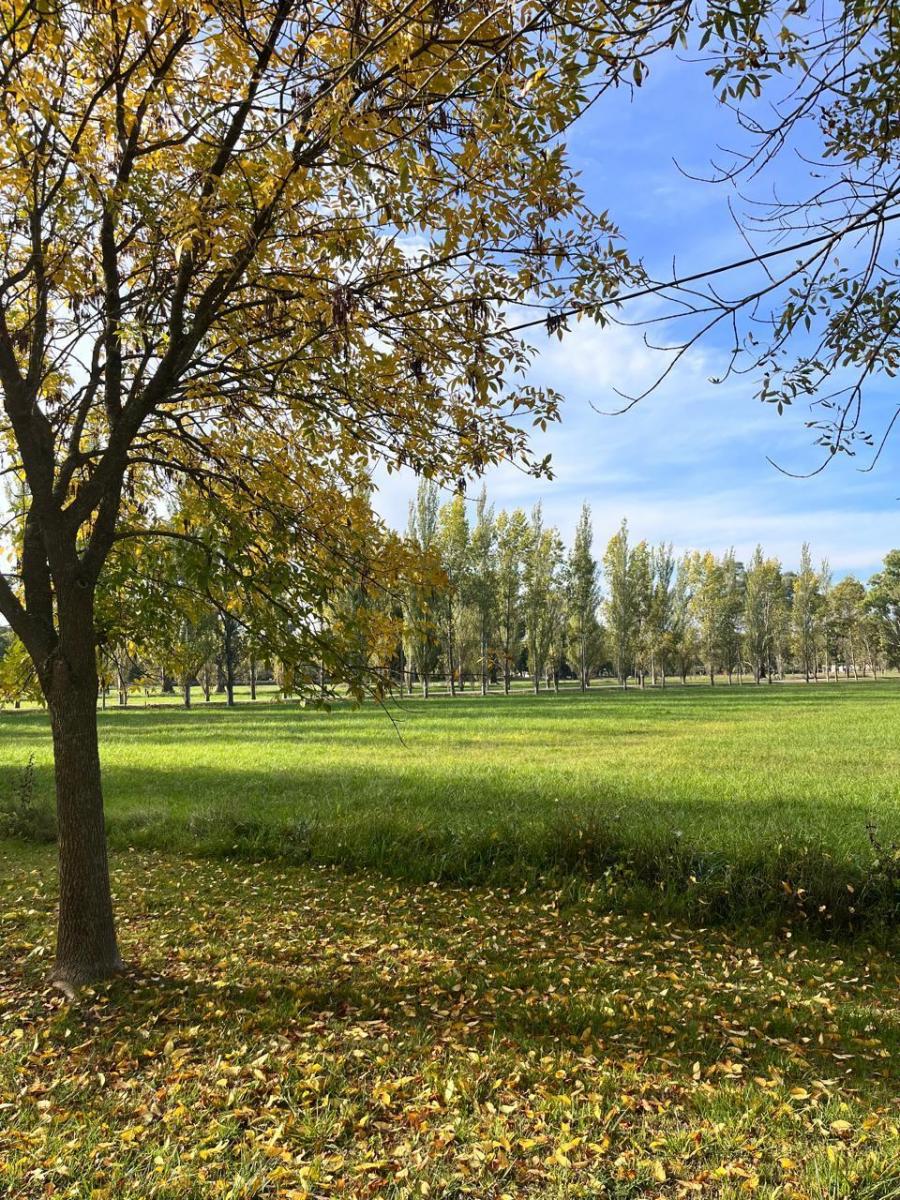 DEL VALLE, ARISTOBULO al 1300 Lote N° 9 22