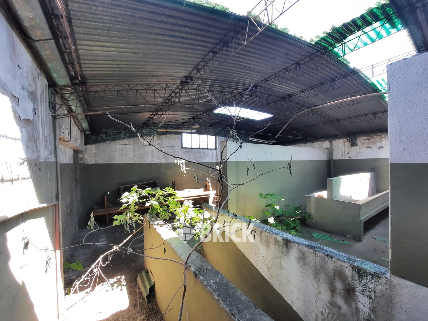 BOUCHARD, HIPOLITO al 3200 12