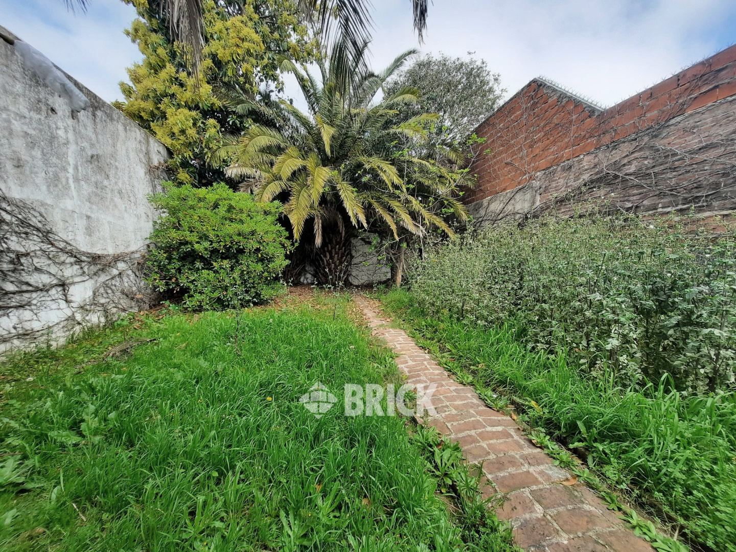 ZAPIOLA, AV. al 800 30