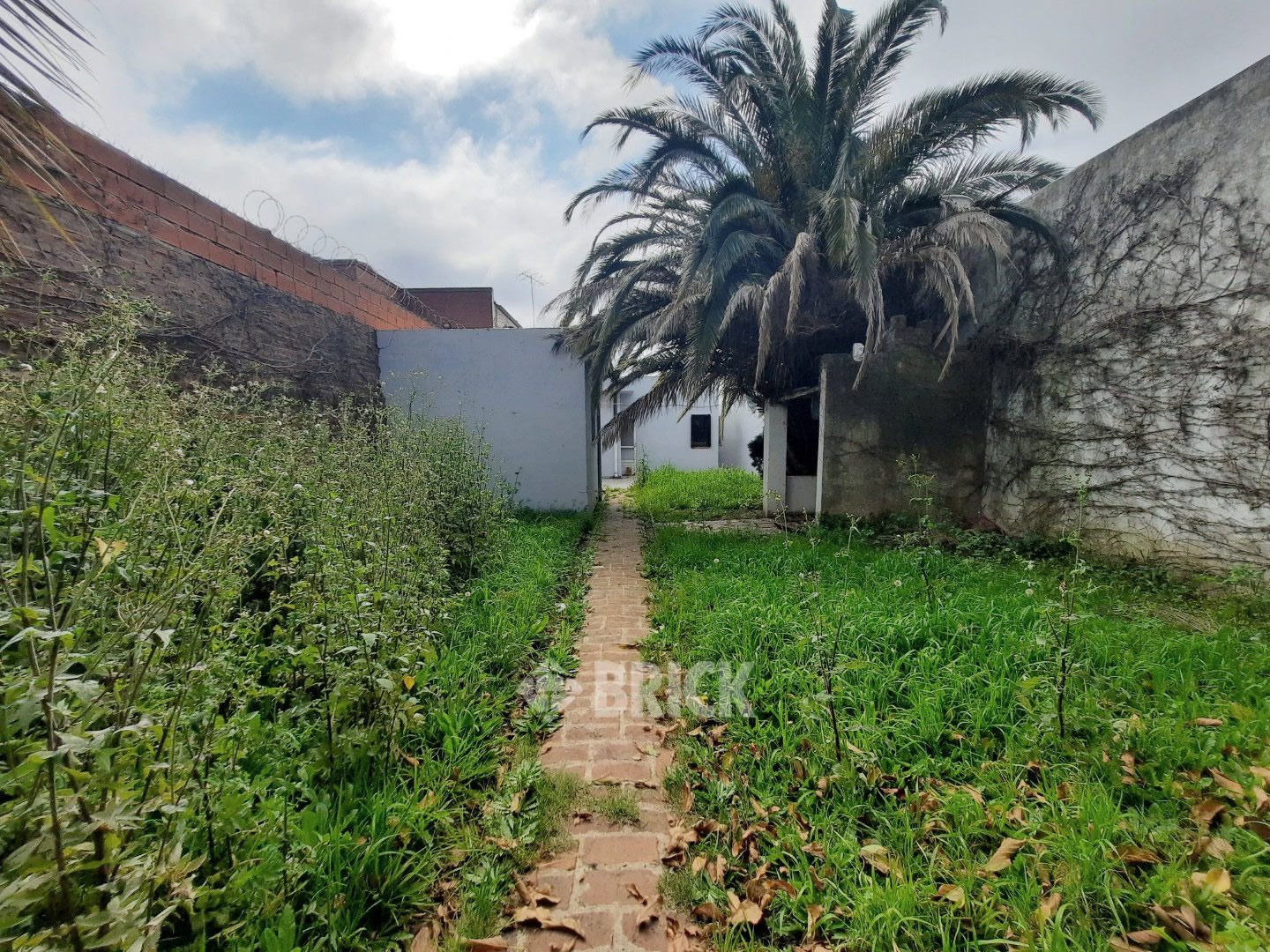 ZAPIOLA, AV. al 800 31