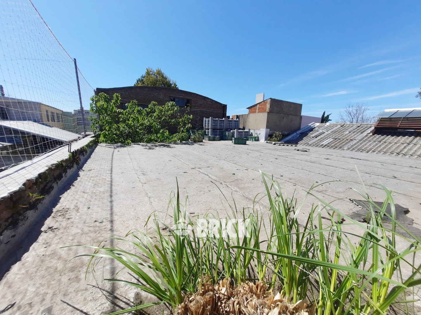 BOUCHARD, HIPOLITO al 3200 18