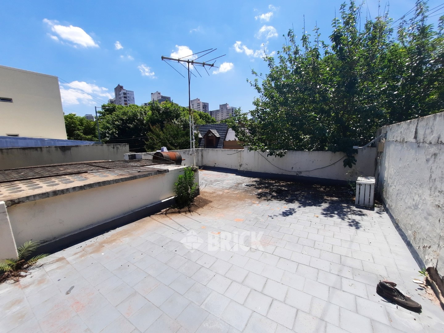 GONZALEZ, JOAQUIN V. al 1900 19