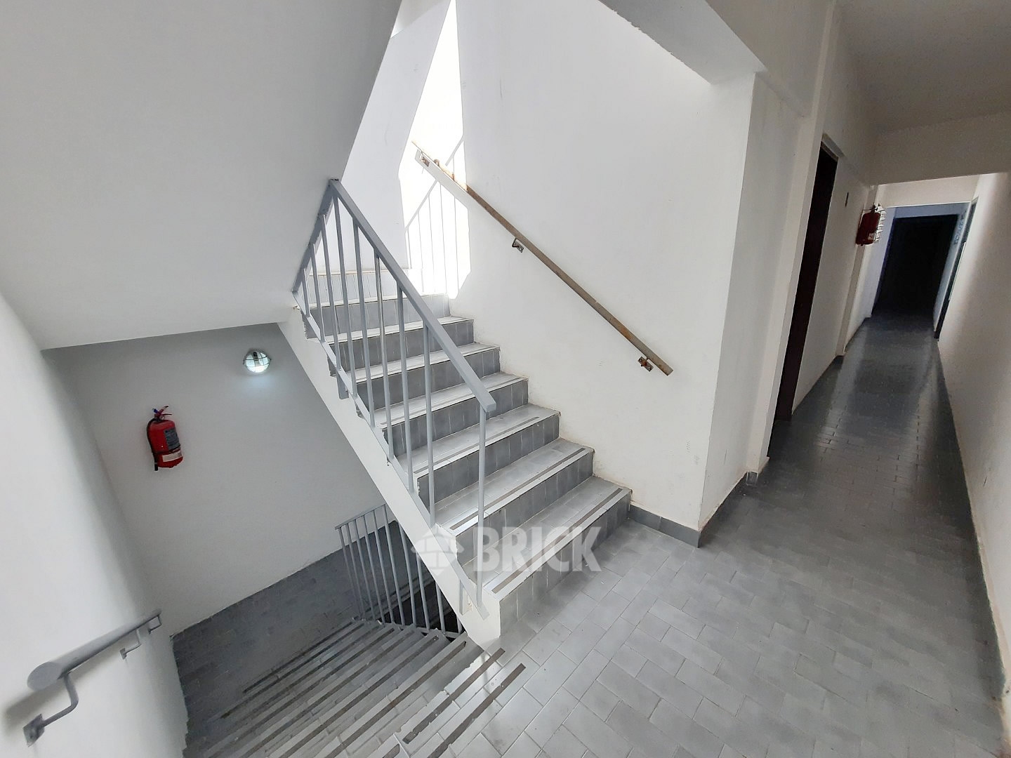 DARWIN al 0 Piso 2 12