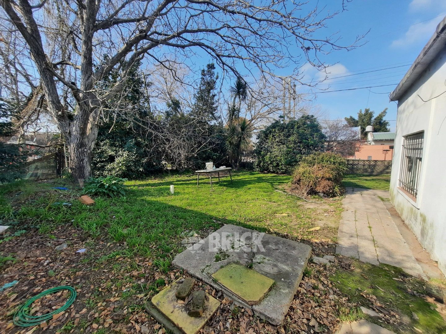 LOS STUDS al 1000 20