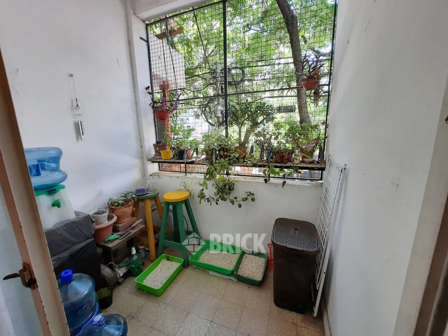 ZAPATA al 100 Piso 1 11