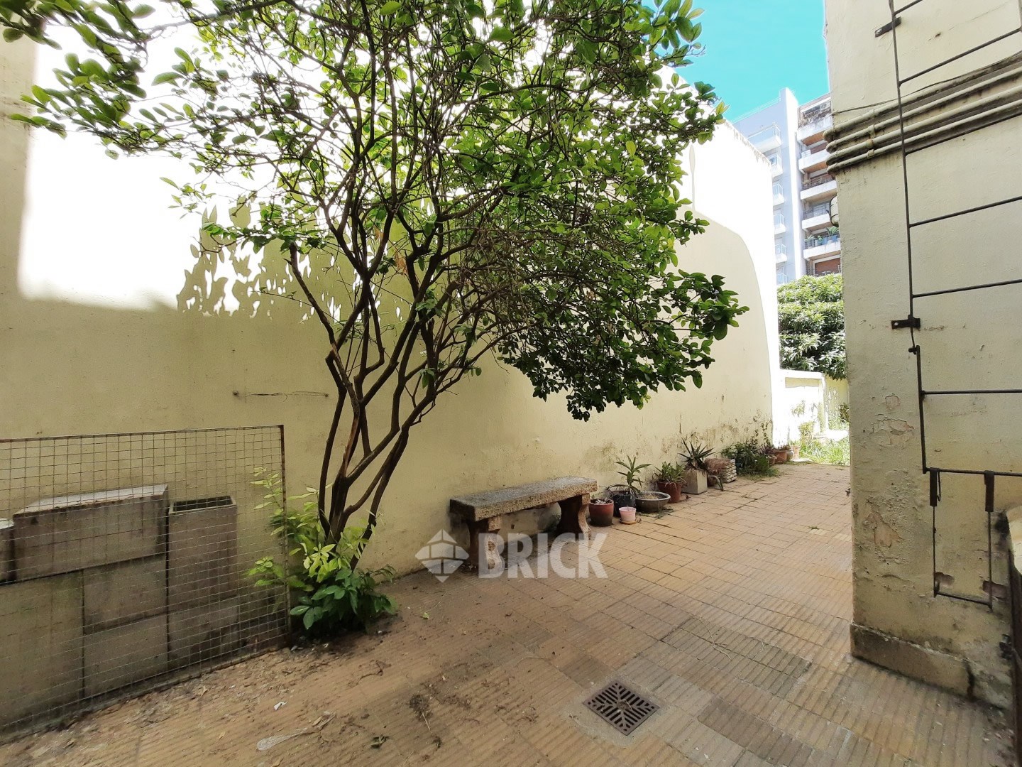 ZAPATA al 100 Piso 1 22