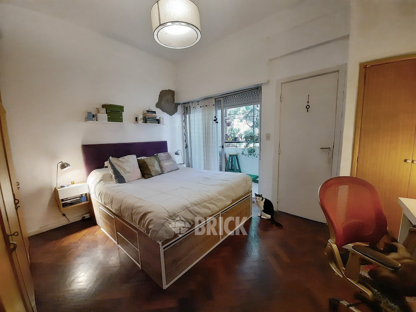 ZAPATA al 100 Piso 1 7