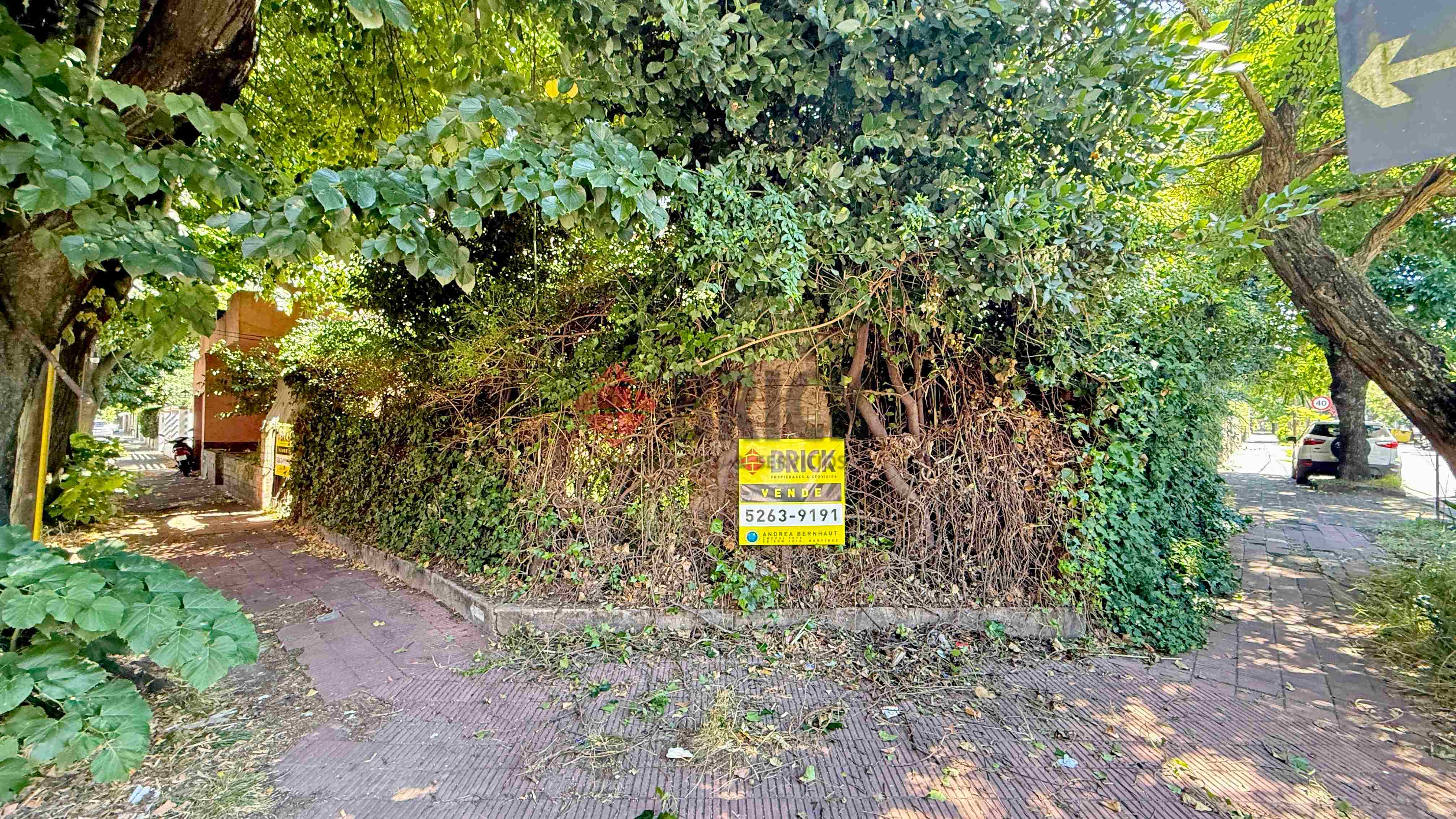 MARTIN CORONADO al 300 5