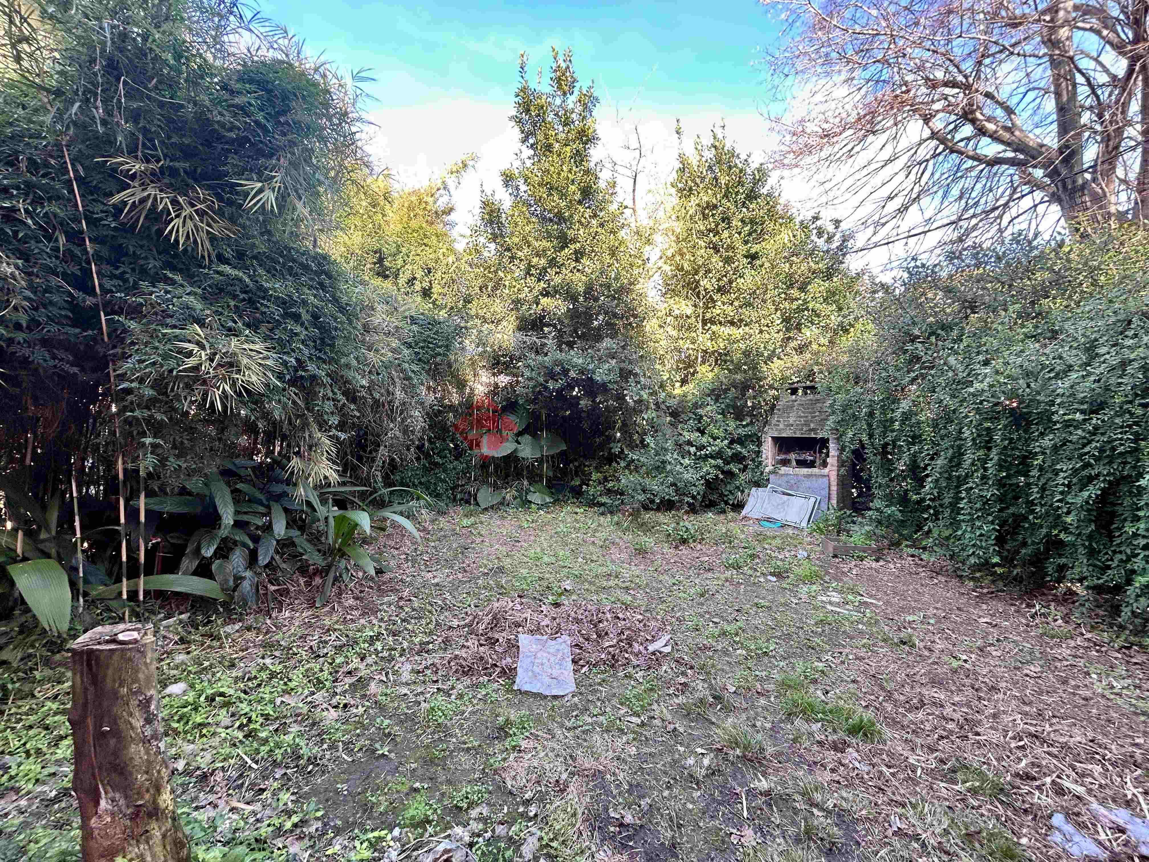 MARTIN CORONADO al 300 6