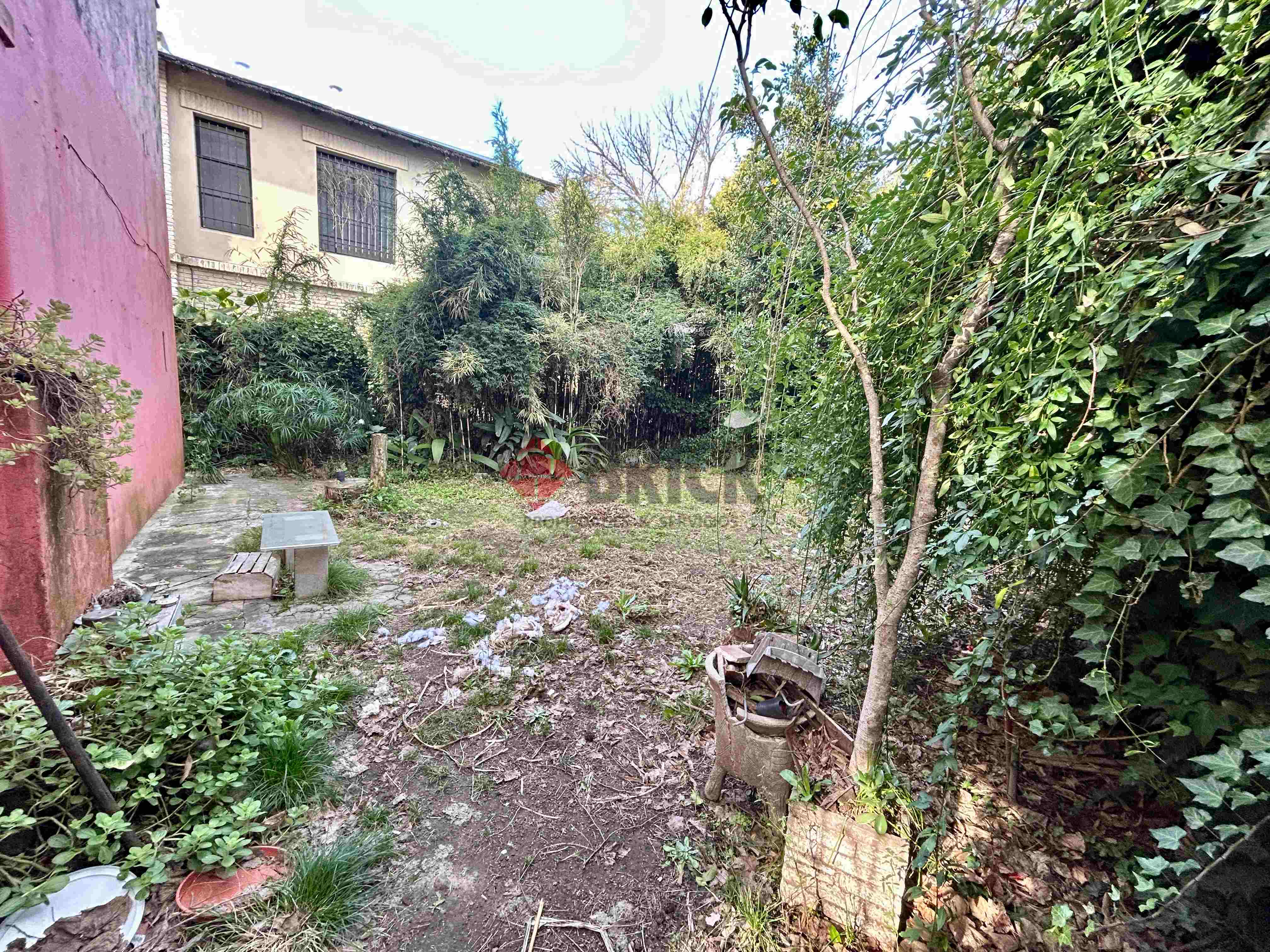 MARTIN CORONADO al 300 8