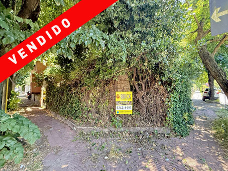 MARTIN CORONADO al 300 1