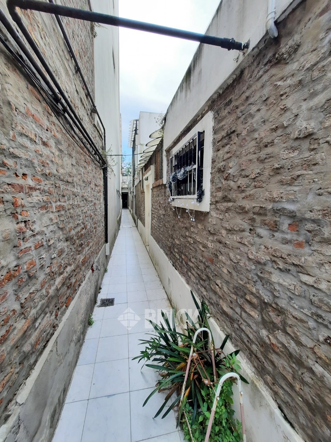 CALVO, CARLOS al 1600 Piso PB 36