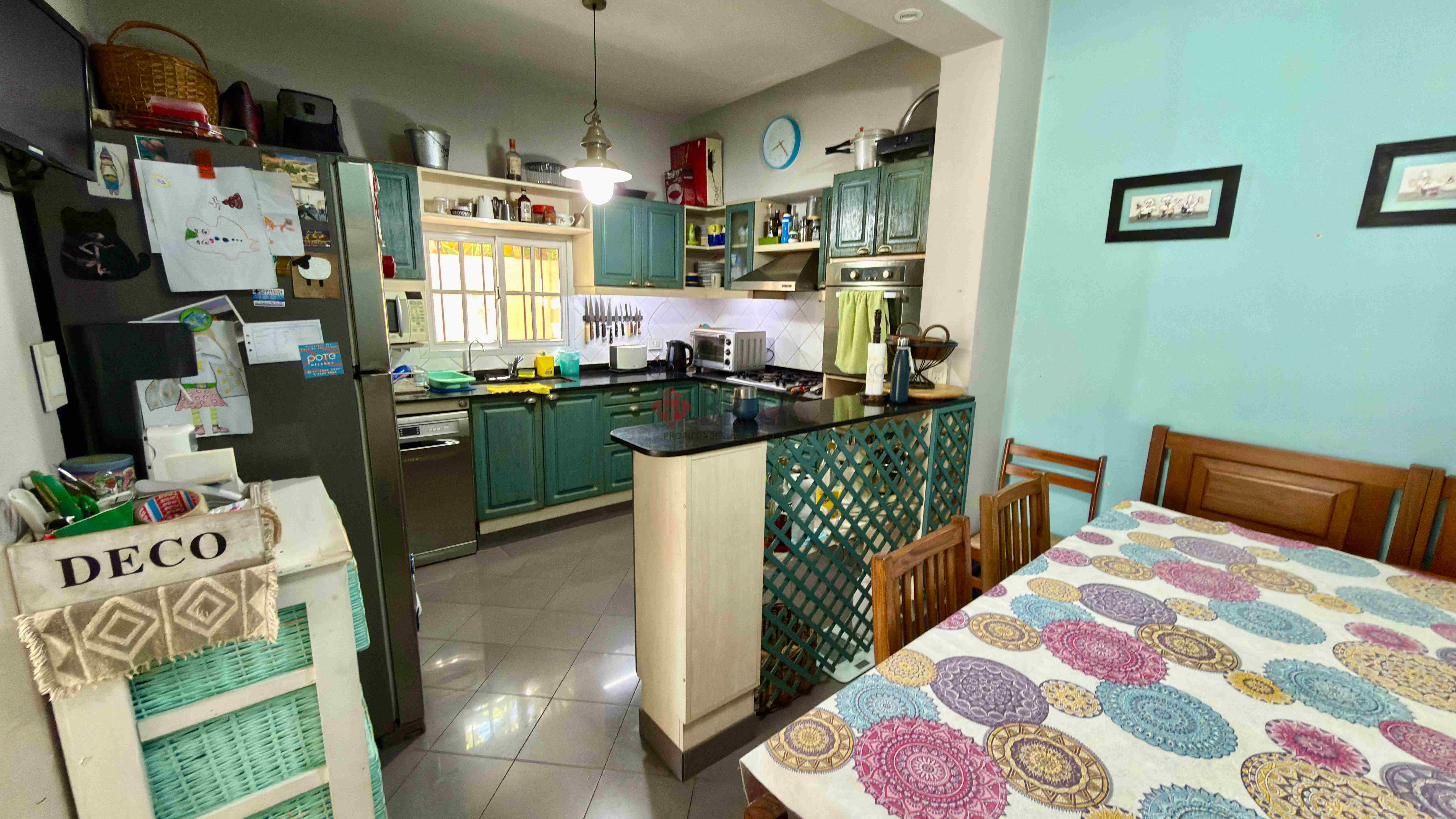 MAGALLANES al 1000 4