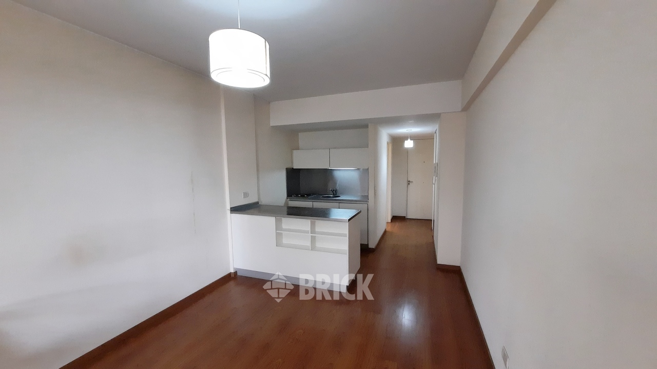 REPETTO, NICOLAS al 1000 Piso 2 6