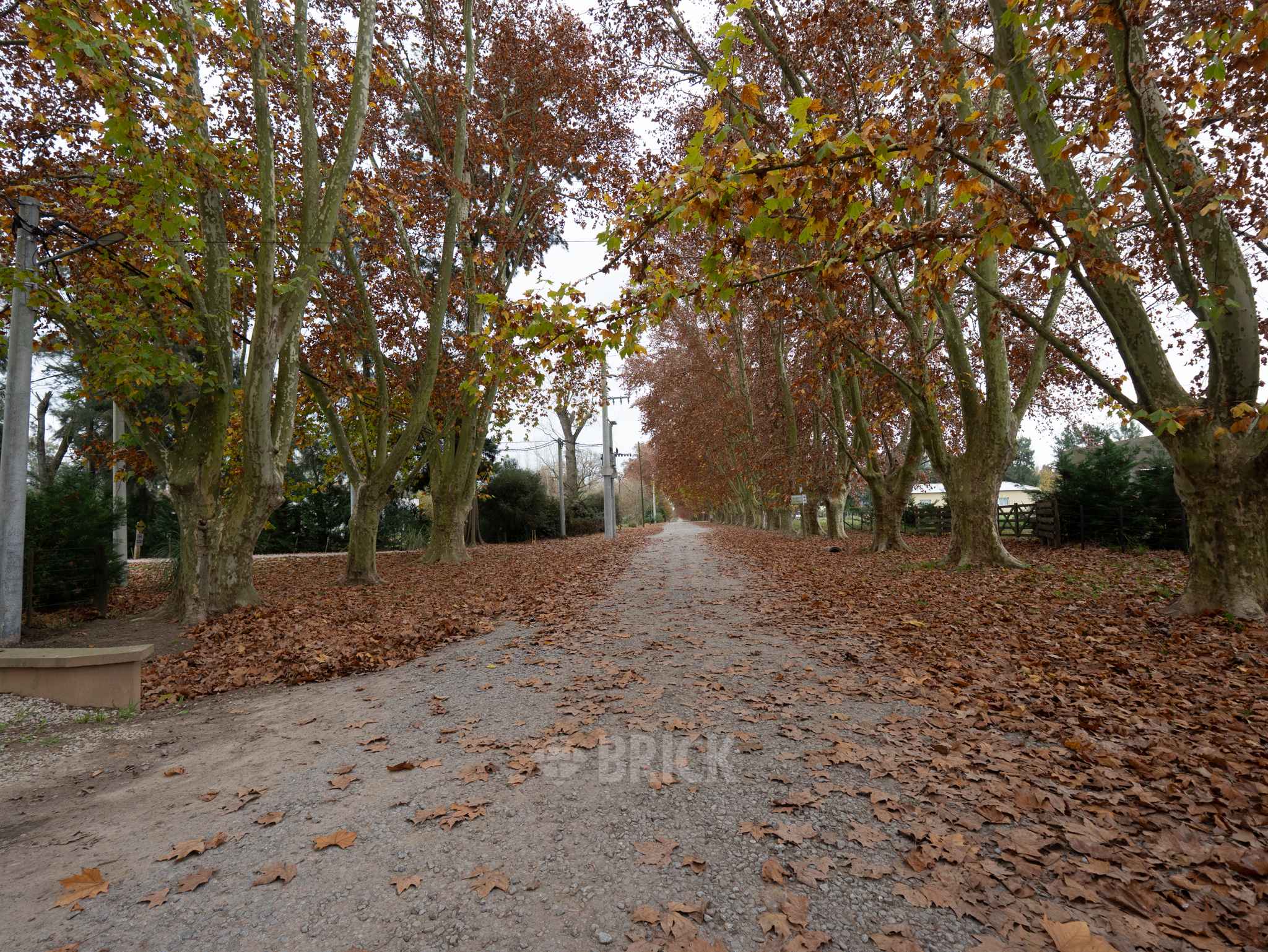 DEL VALLE, ARISTOBULO al 0 Lote 72 46