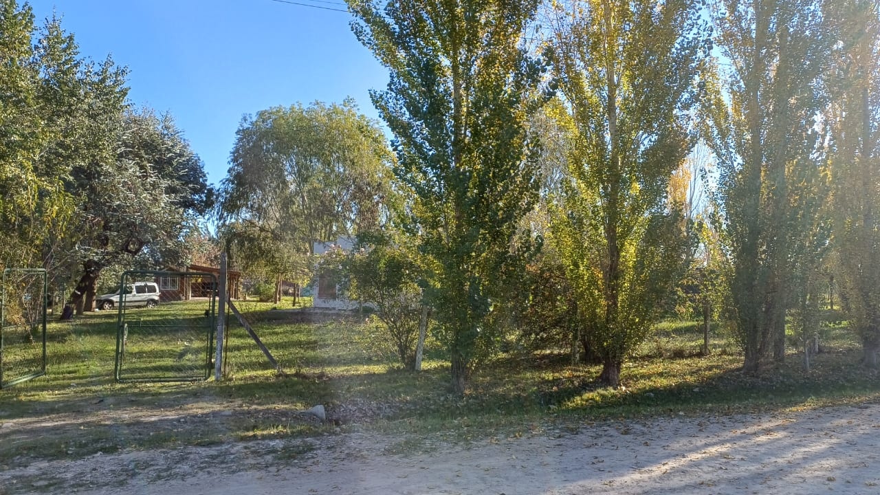 RIO DE LA PLATA al 2600 1