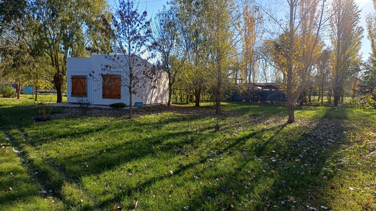 RIO DE LA PLATA al 2600 29